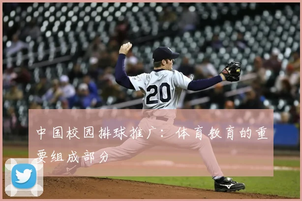 中国校园排球推广：体育教育的重要组成部分